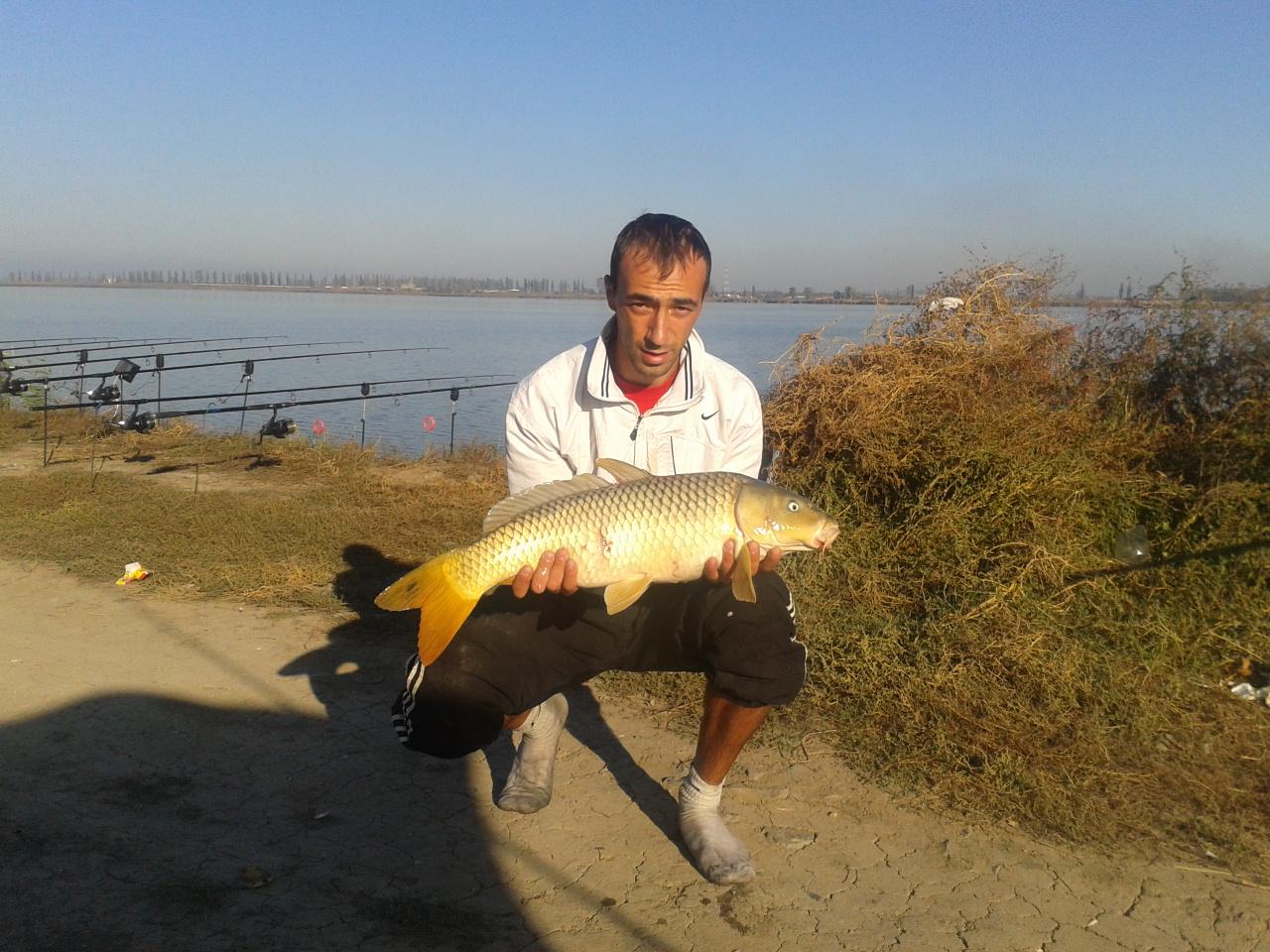fish - 2012-10-20-094108.jpg